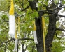 04_candles