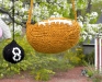 05_football